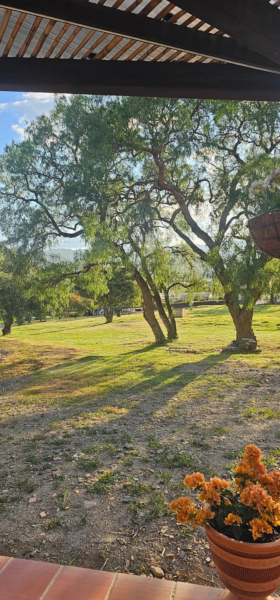 Celeste Villa de Leyva
